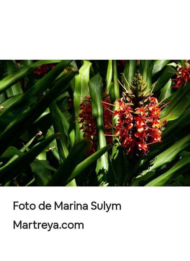 Jardin De Naipi * Puerto Iguazu