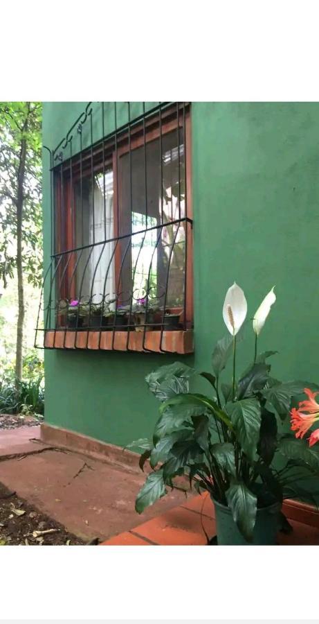Jardin De Naipi Puerto Iguazu